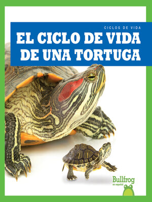 cover image of El ciclo de vida de una tortuga (A Turtle's Life Cycle)